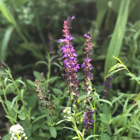 Meet your Posher, Jennifer - Picture 1 of 1